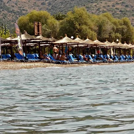 Daire Sofia - Kantia *