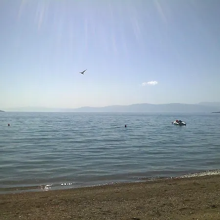 Daire Sofia - Kantia