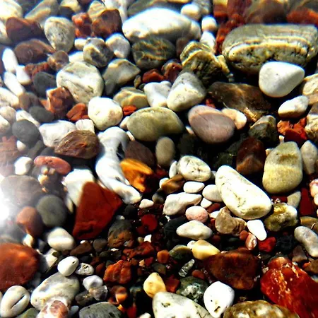 Sofia - Kantia Апартаменты