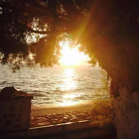 Апартаменты Sofia - Kantia