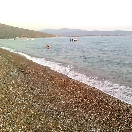 Sofia - Kantia * Kandia