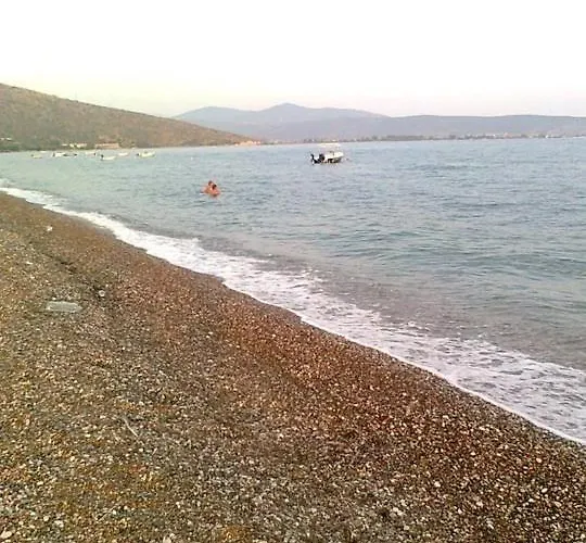 Sofia - Kantia * Kandia